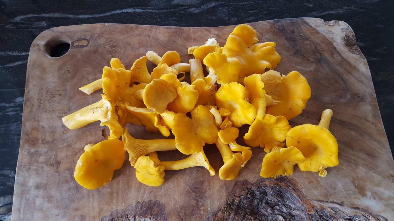 Wester Blackpark Farm Инвернес Екстериор снимка